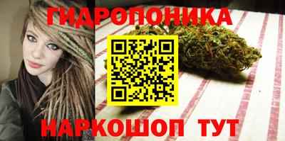 крисы Гусиноозёрск