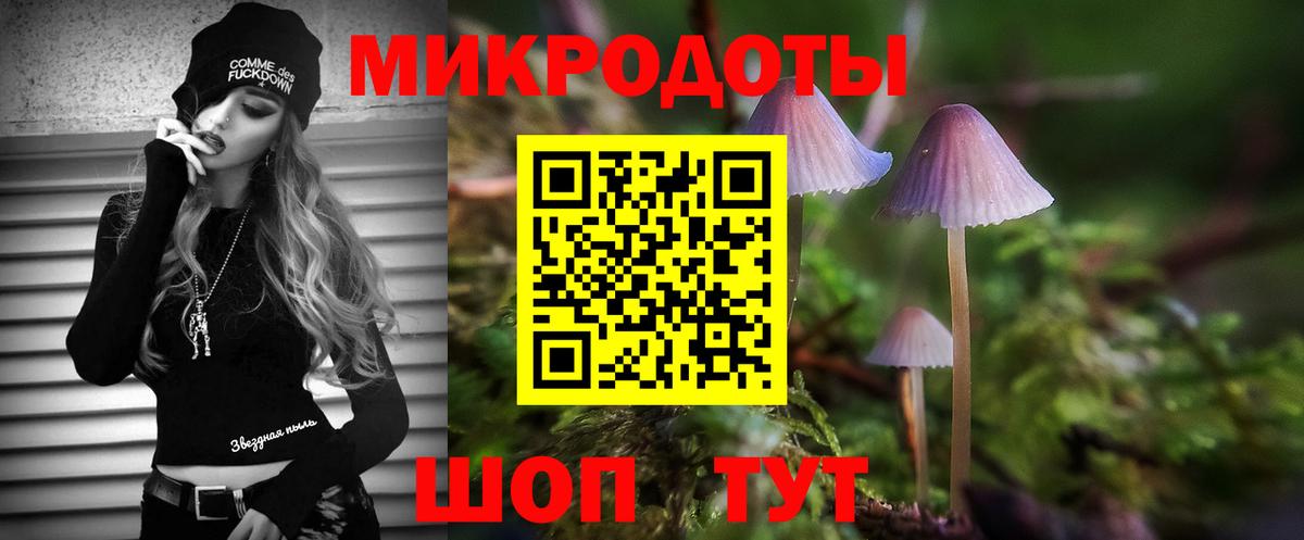 Щёкино  сколько стоит  Вход с VPN  Галлюциногенные грибы Magic Shrooms 